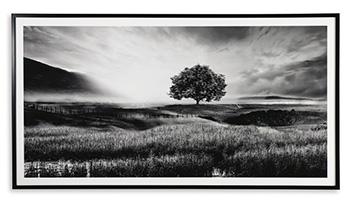 Deborland Wall Art - Abundant Home Collections