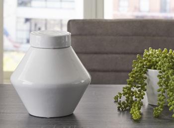Domina Jar (Set of 2) - Abundant Home Collections