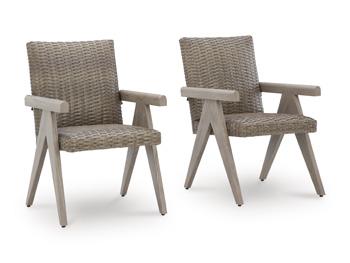 Cliff Trails Outdoor Arm Chair (Set of 2) - Abundant Home Collections