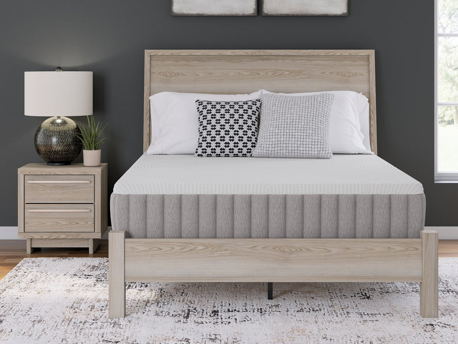 Terra Sleep Medium Mattress - Abundant Home Collections