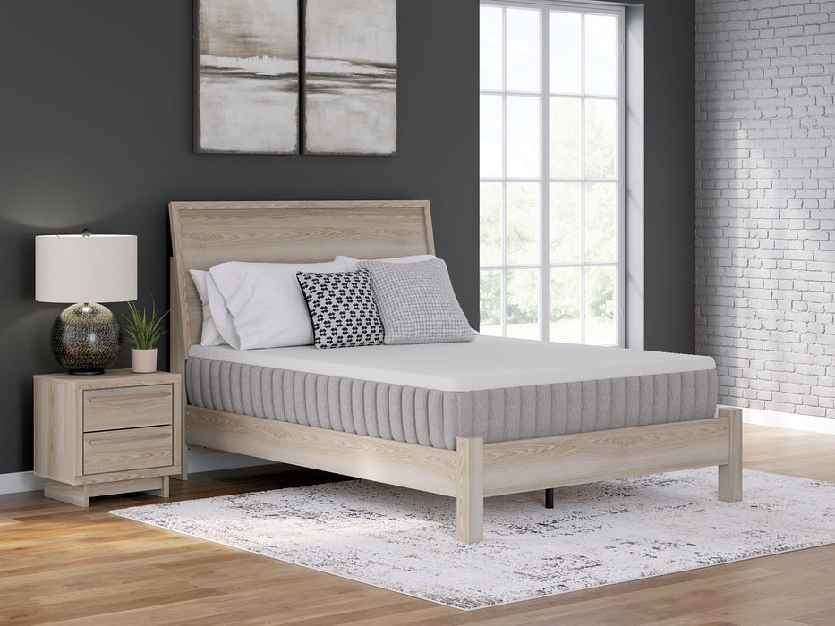 Terra Sleep Medium Mattress - Abundant Home Collections