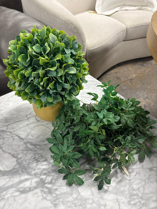 Assorted Greenery