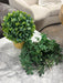 Assorted Greenery
