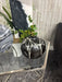 Black Decor with Greenery