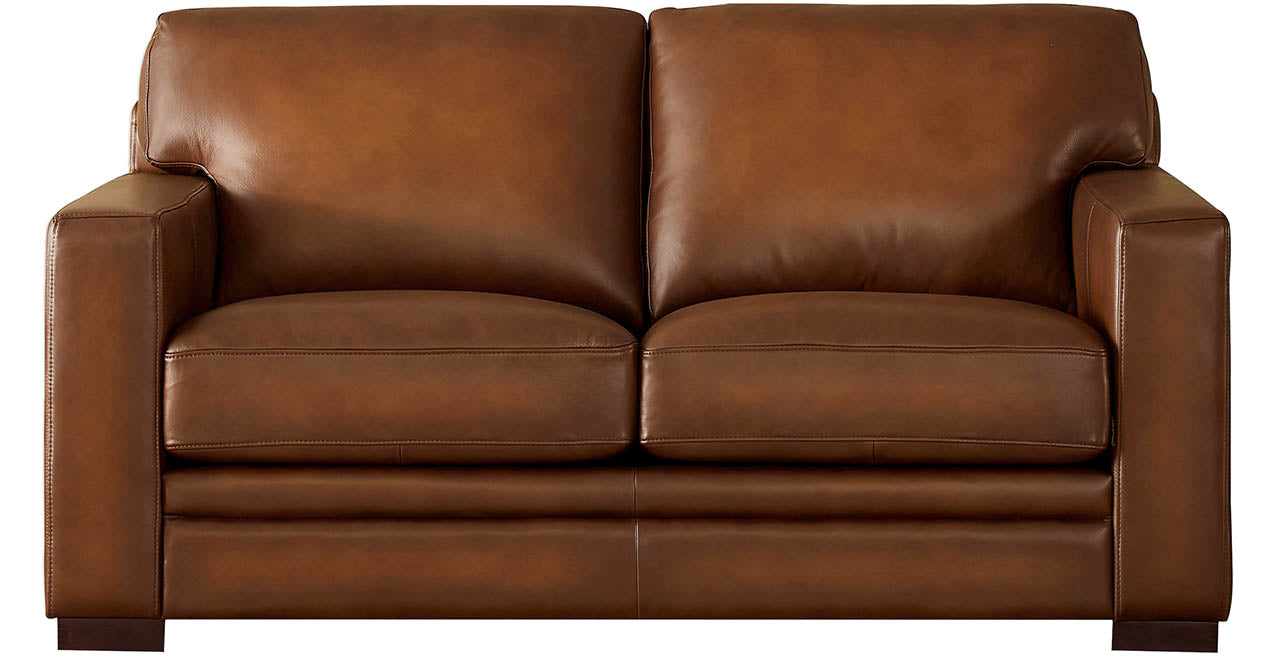 Dillon Leather Loveseat