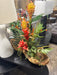 Clive Daniel Wood and Plant Decor