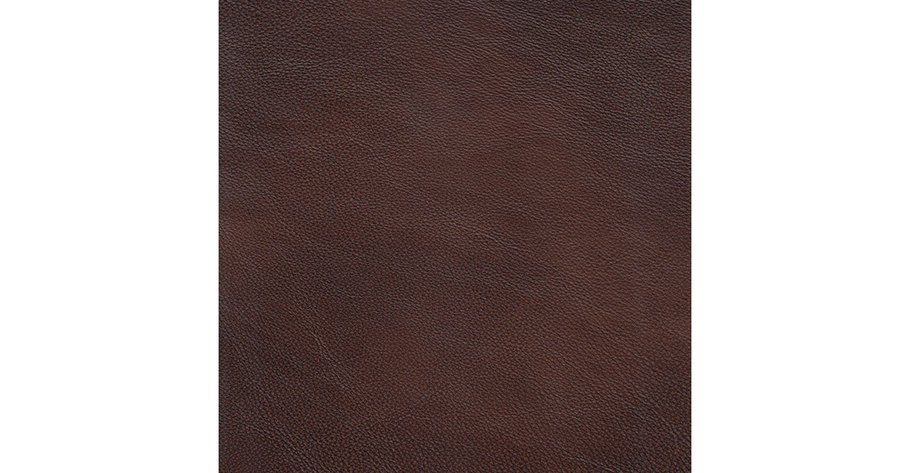 Rhapsody Leather Reclining Sofa
