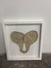 Framed air bladder art piece