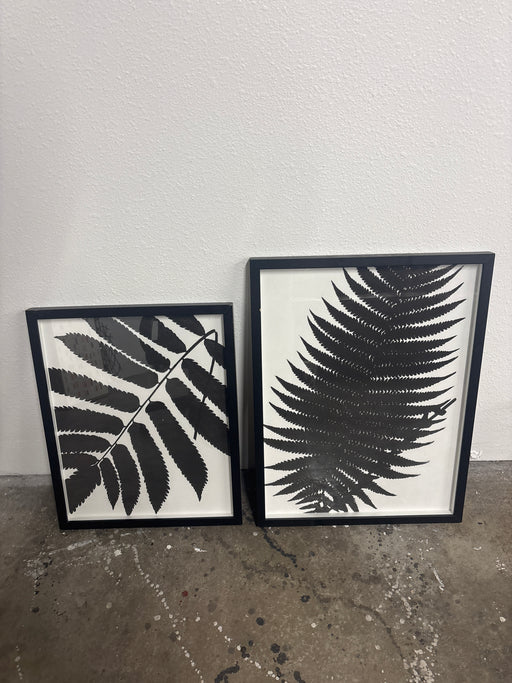 Black and white fern, art piece