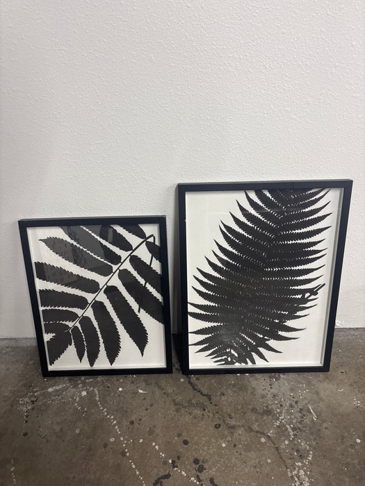 Black and white fern, art piece