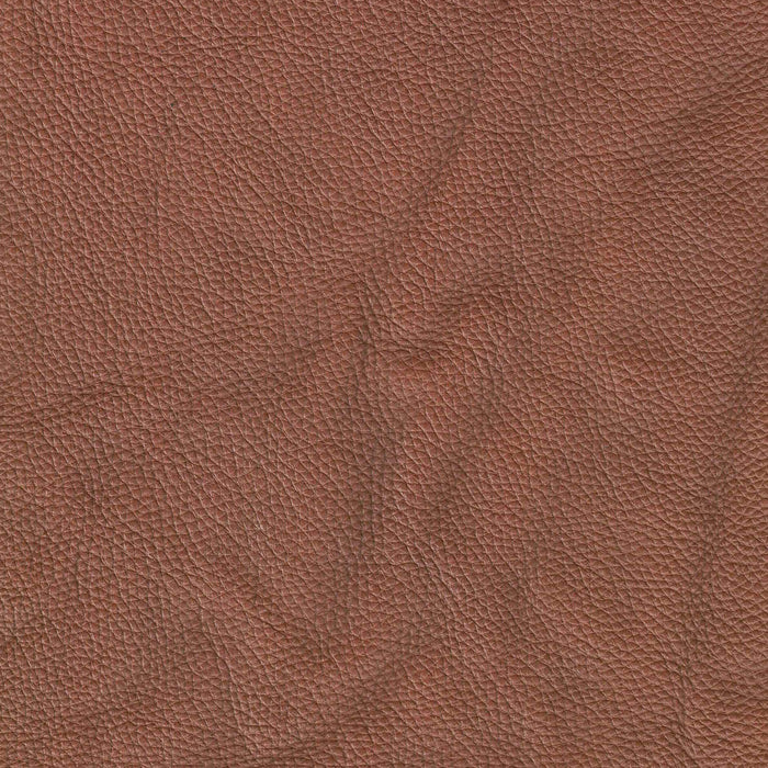Maui Leather Sofa Collection - Abundant Home Collections