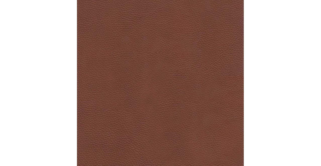 Echo Leather Sofa Collection