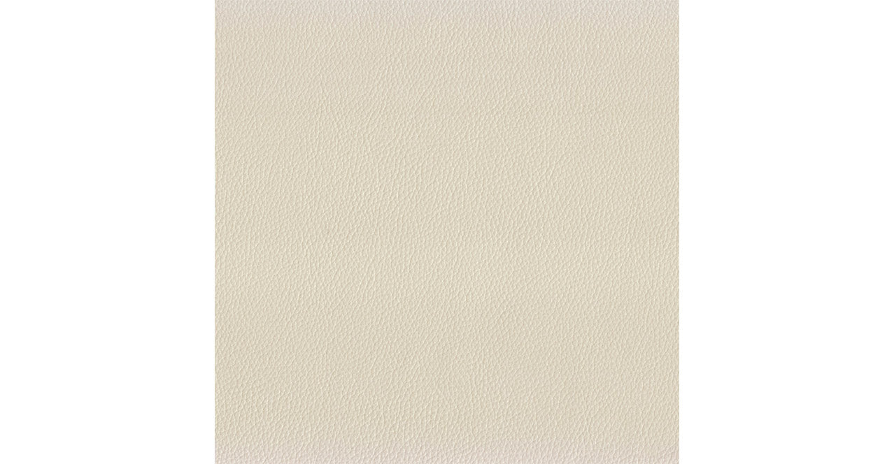 Echo Leather Chair