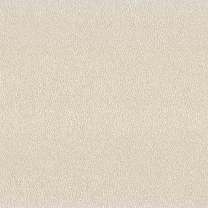 Westcott Leather Sofa Collection - Abundant Home Collections