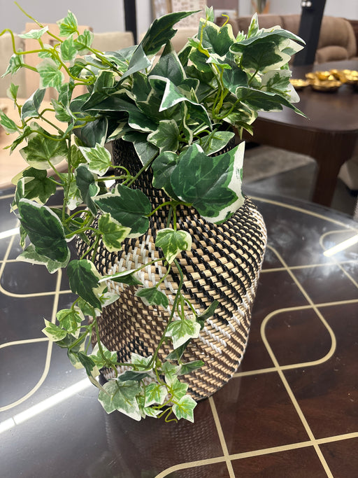 Snakeskin Greenery