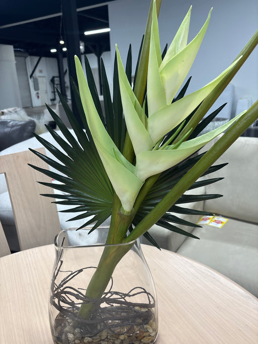 Glass Plant Arrangement