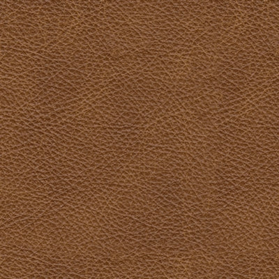Carianna Loveseat - Abundant Home Collections