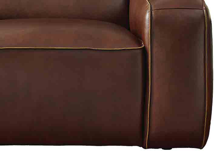 Dani Leather Sofa Collection
