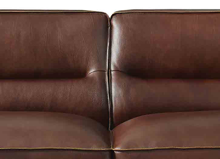 Dani Leather Sofa Collection