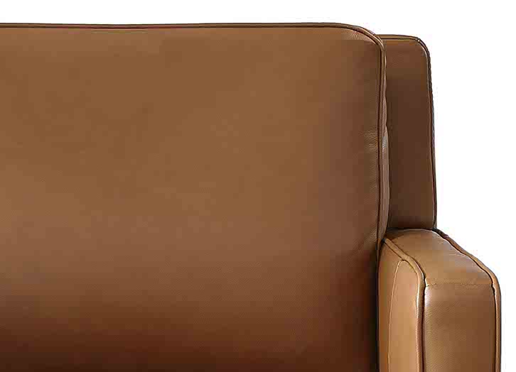 Ashby Leather Sectional Collection