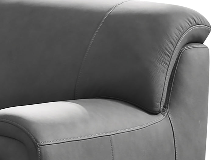 Polo Leather Sectional Collection