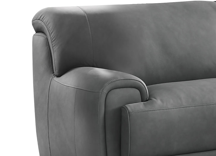 Polo Leather Sectional Collection