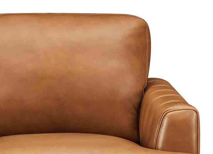 Cassia Leather Loveseat