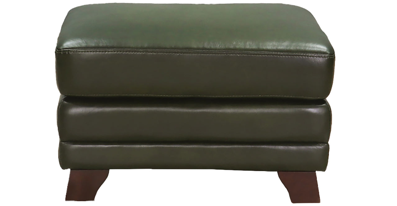 Fremont Leather Sofa Collection