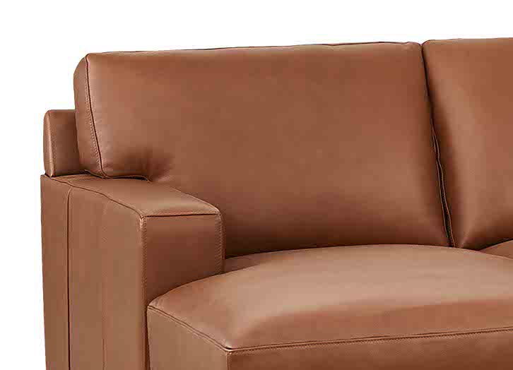 Dillon Leather Sectional Collection