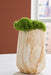 Cammen Vase - Abundant Home Collections