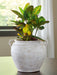 Meadie Vase - Abundant Home Collections