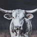 Harlandale Wall Art - Abundant Home Collections