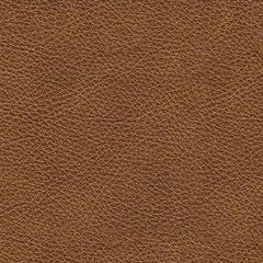 Carianna Ottoman - Abundant Home Collections