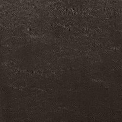 Kimonte Dining Chair Set - Abundant Home Collections