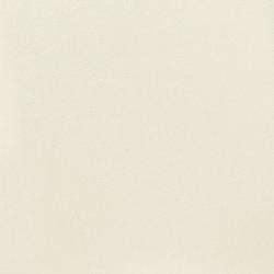 Kimonte Dining Chair Set - Abundant Home Collections