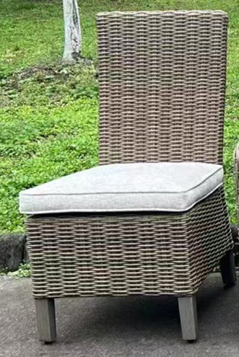 Laguna Heights Side Chair with Cushion (Set of 2) - Abundant Home Collections