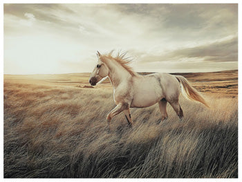 Errolville Wall Art - Abundant Home Collections