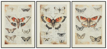 Jossletts Wall Art (Set of 3) - Abundant Home Collections