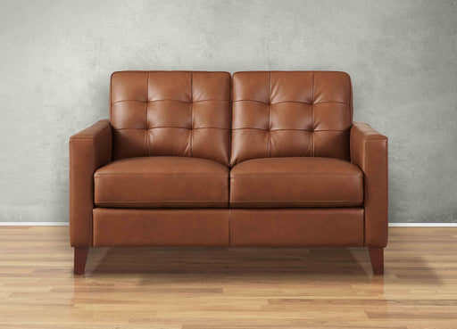 Aiden Leather Loveseat