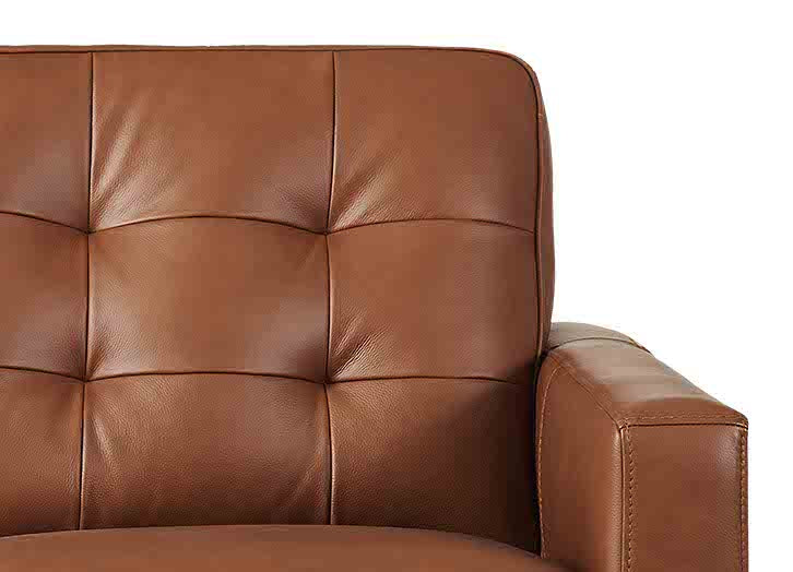 Aiden Leather Sofa Collection