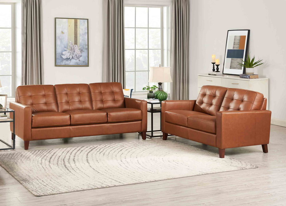 Aiden Leather Sofa Collection