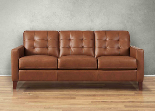 Aiden Leather Sofa Collection