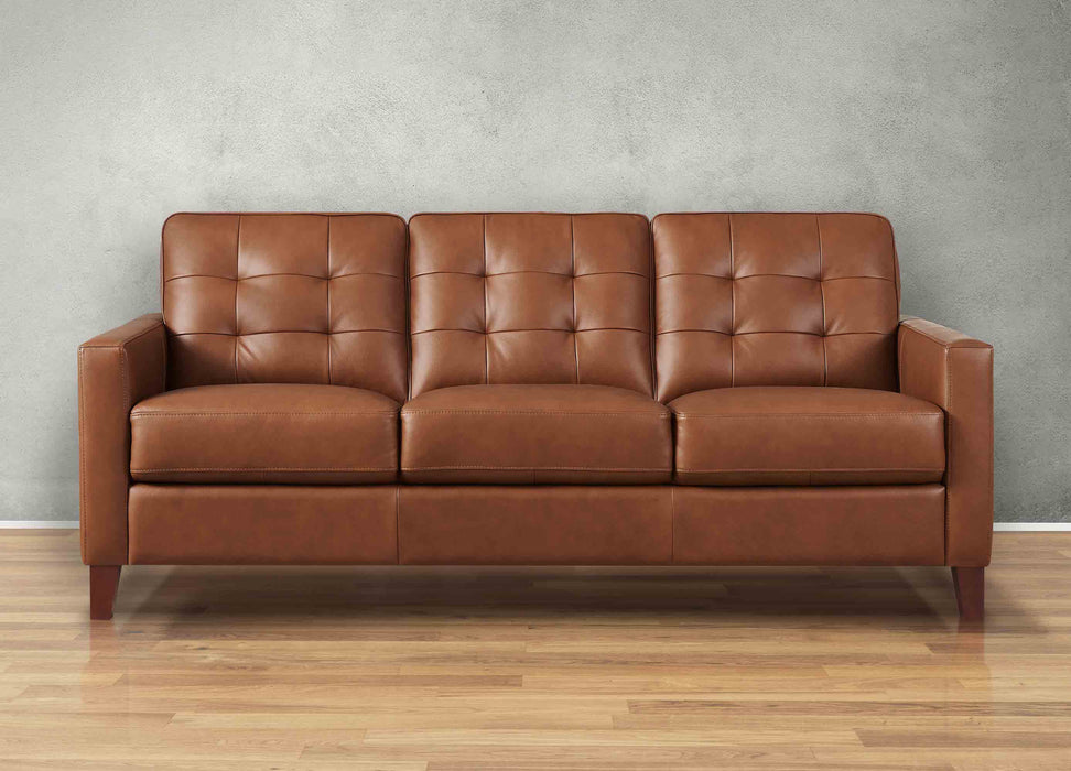 Aiden Leather Sofa Collection